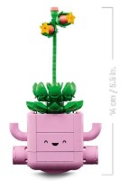 Set de construcție Lego Botanicals: Rocking Plants (11506) imaginea #7 — magazin online Desire.md