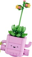 Set de construcție Lego Botanicals: Rocking Plants (11506) imaginea #3 — magazin online Desire.md
