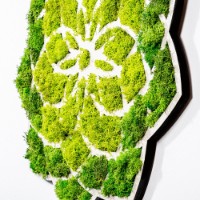 Panou decorativ Wallity Daisy imaginea #3 — magazin online Desire.md