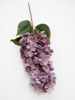 Floare decorativă Metalux Liliac 274-26 imaginea #2 — magazin online Desire.md