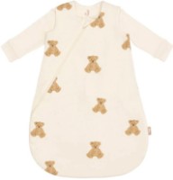 Sac de dormit pentru bebeluși Jollein Newborn 4 Seasons Teddy Bear 60cm (015-410-66095)