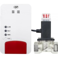 Detector de scurgeri de gaz PNI 3/4 250 Dual Gas/Co