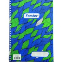 Caiet Forster A4/100p (173524)