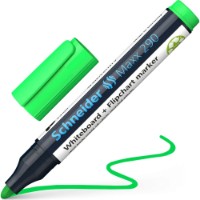 Marker Schneider Maxx 290 Light Green (129111)