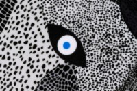 Fața de pernă Moooi Dwarf Rhino 50x50 Black (250687) imaginea #4 — magazin online Desire.md