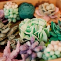 Набор для творчества OKTO Clay Succulents (10010) фото №3 — интернет-магазин Desire.md