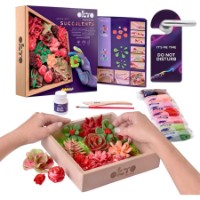 Set pentru creatie OKTO Clay Succulents (10011)