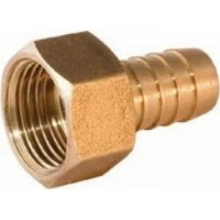 Fiting Ferro 1/2F x 6mm