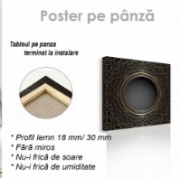 Pictură ArtShop Gold Pattern 80x80cm (PA90-M-PL) imaginea #2 — magazin online Desire.md