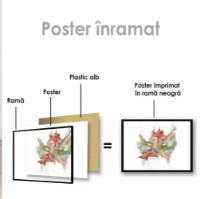 Pictură ArtShop Play of Colors 75x50cm (PA68-M-L) imaginea #2 — magazin online Desire.md