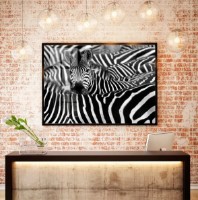 Pictură ArtShop Zebras 90x60cm (PBW24)