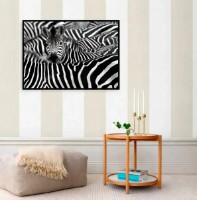 Pictură ArtShop Zebras 60x40cm (PBW24-L-L)