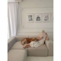 Molding pentru perete Mardom Decor MDC258-13 imaginea #3 — magazin online Desire.md