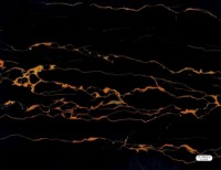 Panou decorativ de perete Global Link KL8098 2800x1220