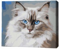 Tablou pe numere Brushme Бирманская кошка 30x40cm (RMG0001FC)