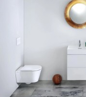 Vas WC Laufen H8663310000001 imaginea #2 — magazin online Desire.md