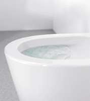 Vas WC Laufen H8663310000001 imaginea #4 — magazin online Desire.md