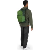 Rucsac pentru oraș Osprey Daylite Plus Green Belt/Green Canopy imaginea #4 — magazin online Desire.md