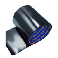 Banda teflon Wadfow WPN2H10