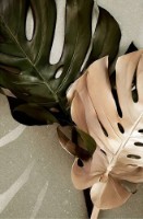Pictură ArtShop Botanical Leaves 50x75cm (PB44-M-PL) imaginea #3 — magazin online Desire.md
