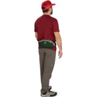 Geantă Osprey Daylite Waist Green Belt/Green Canopy imaginea #2 — magazin online Desire.md