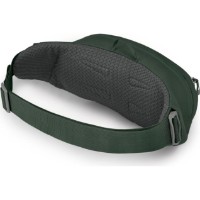 Geantă Osprey Daylite Waist Green Belt/Green Canopy imaginea #3 — magazin online Desire.md