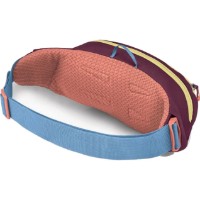 Geantă Osprey Daylite Waist Moody Burgundy  imaginea #2 — magazin online Desire.md