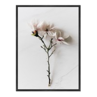 Pictură ArtShop Delicate Flower 50x75cm (PB76-M-L)