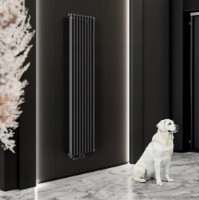 Радиатор Gorgiel Cezar AD1 180/40 Black Mat 24 (51) фото №2 — интернет-магазин Desire.md