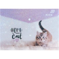 Dosar pentru hârtii Kite Rachael Hale (R25-244)