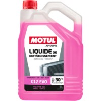 Antigel Motul Auto Cool G12 Evo Purple 5L (112648)