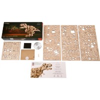 3D-puzzle UGears Tyrannosaurus Rex (UTG0124) imaginea #5 — magazin online Desire.md