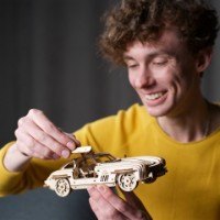 3D-puzzle UGears Winged Sports Coupe (UTG0132) imaginea #6 — magazin online Desire.md