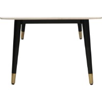Măsuţă cafea Deco Canto 100x60x45cm White imaginea #2 — magazin online Desire.md