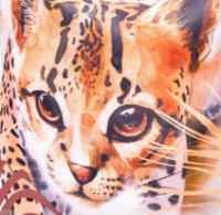 Sac pentru încălțăminte Erich Krause Wild Cat (58848) imaginea #5 — magazin online Desire.md