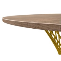 Masă pentru bucătărie Deco Felicia 100cm Colonial/Golden imaginea #6 — magazin online Desire.md