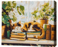 Tablou pe numere Brushme Книжный сон 30x40cm (RMG0042FC)