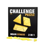 Brain Puzzle IQ Puzzle Challenging №6 (0371)