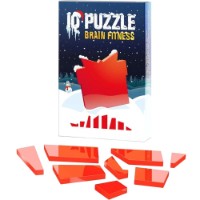 Brain Puzzle IQ Puzzle New Year's Present (0722)