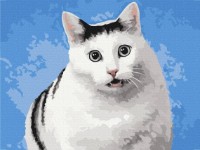 Картина по номерам Brushme Кот "А?" 30x40cm (RBS1054)