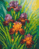 Tablou pe numere Brushme Magia florilor 40x50cm (BS54527)