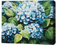 Tablou pe numere Brushme Облако гортензий 30x40cm (RMG0021FC)