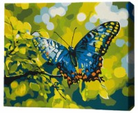 Картина по номерам Brushme Порхание цвета 30x40cm (RMG0018FC)