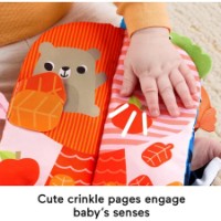 Carte educațională pentru copii Fisher Price JKP53 imaginea #2 — magazin online Desire.md
