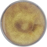 Vas de servit Casa Masa Amber 28 cm (IR205) imaginea #2 — magazin online Desire.md