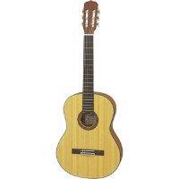 Chitara clasica Aria A-10 MTN