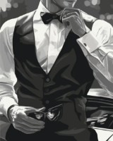 Tablou pe numere Brushme Gentleman stilat 40x50cm (BS54353)