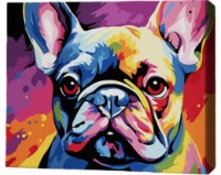 Tablou pe numere Brushme Яркий бульдог 30x40cm (RMGB011FC)