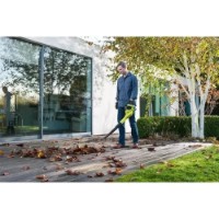 Воздуходувка Ryobi RBL1820S40F (5133004180) фото №5 — интернет-магазин Desire.md