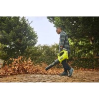 Воздуходувка Ryobi RY18BLXD-150 (5133005952) фото №7 — интернет-магазин Desire.md
